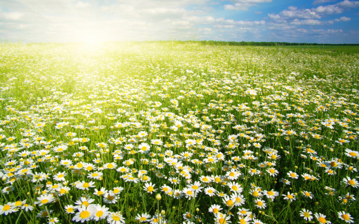 1175603 (a): :2880x1800